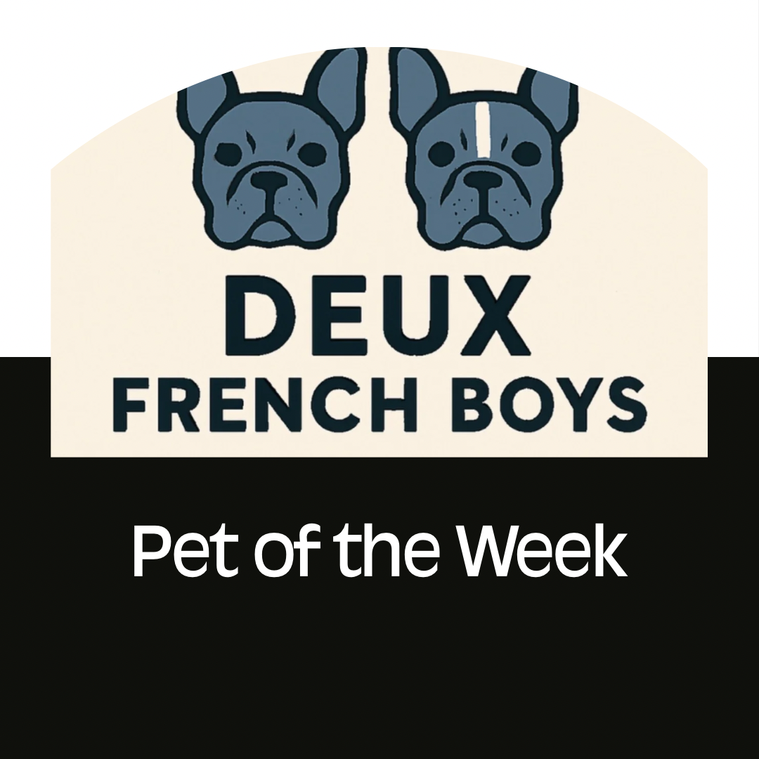 DFB Pet Of The Week